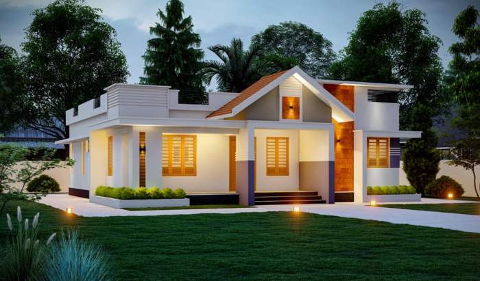 Desain rumah minimalias 1 lantai